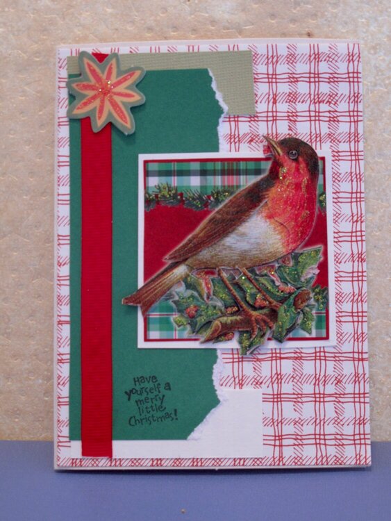 3D Christmas Card - Bird on Branch
