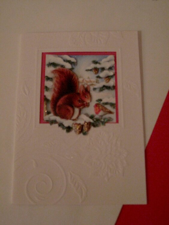3D - Squirrel on embossed card