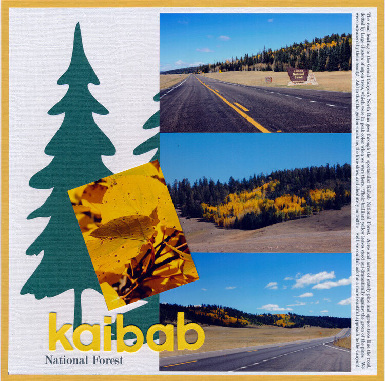 Kaibab National Forest