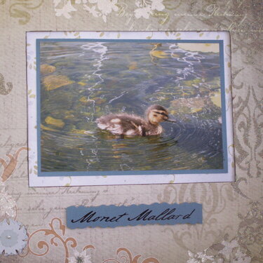 Monet Mallard