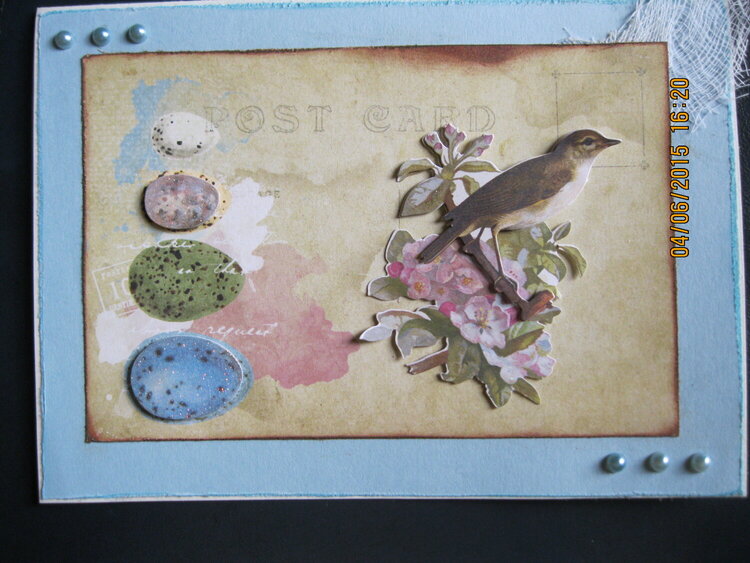 Blue postcard with bird