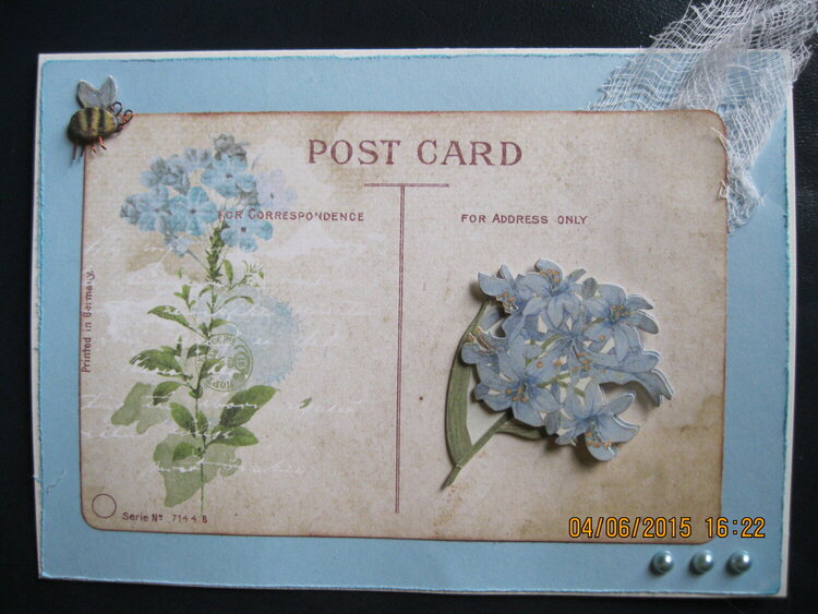 Post Card Flowers
