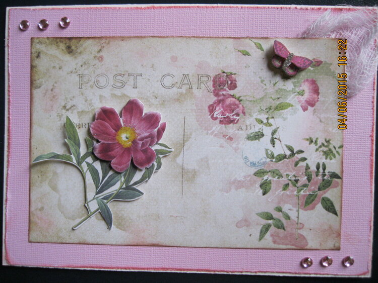 Post Card with Flowers and Butterfly
