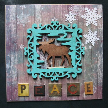 Peace - Moose