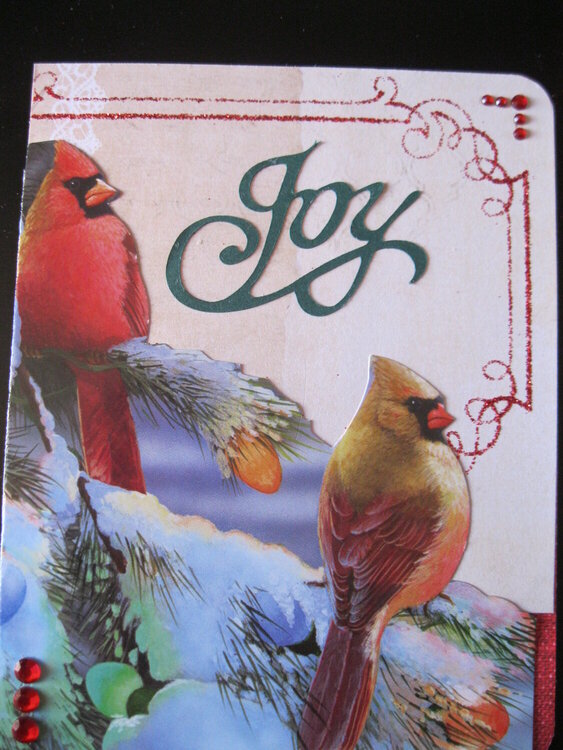Joyful Cardinals