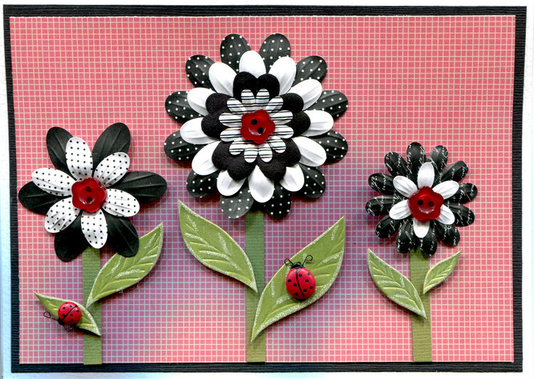 RED BLACK FLOWER LADYBUG CARD