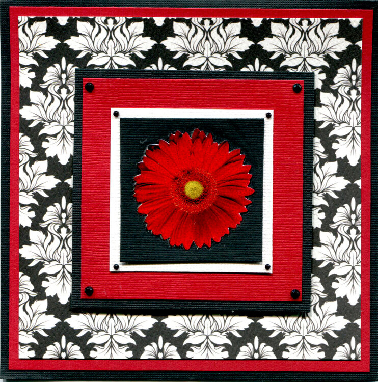 BLACK RED FLOWER CARD