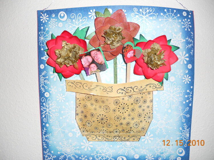 3D Poinsettia flower Pot