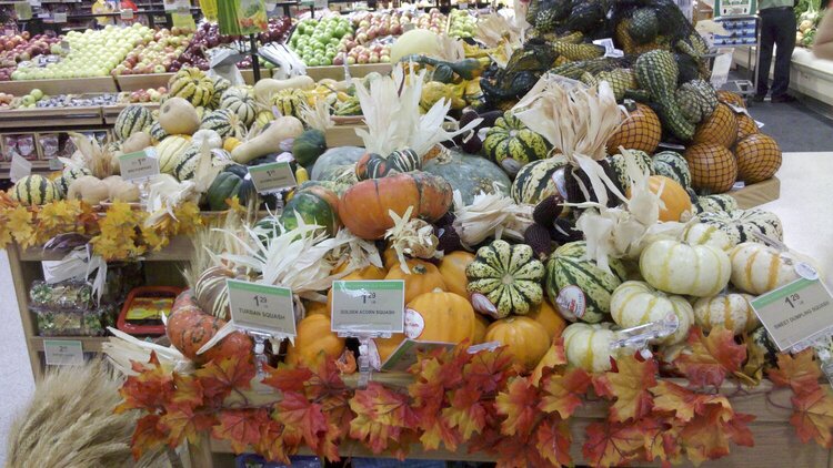Gourds and pumpkins-  for weekly. AGC pic
