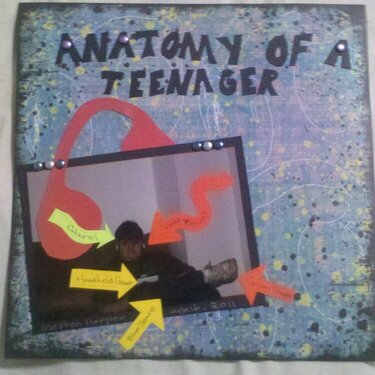 Anatomy of a Teenager