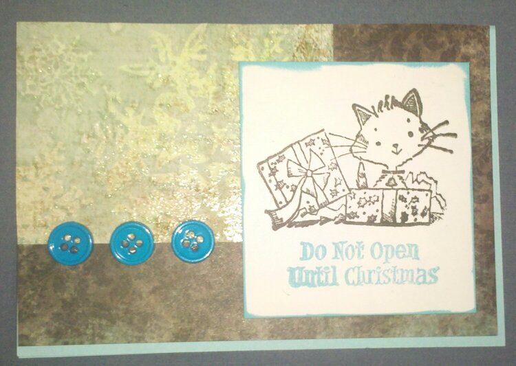 Blue Cat Christmas Card