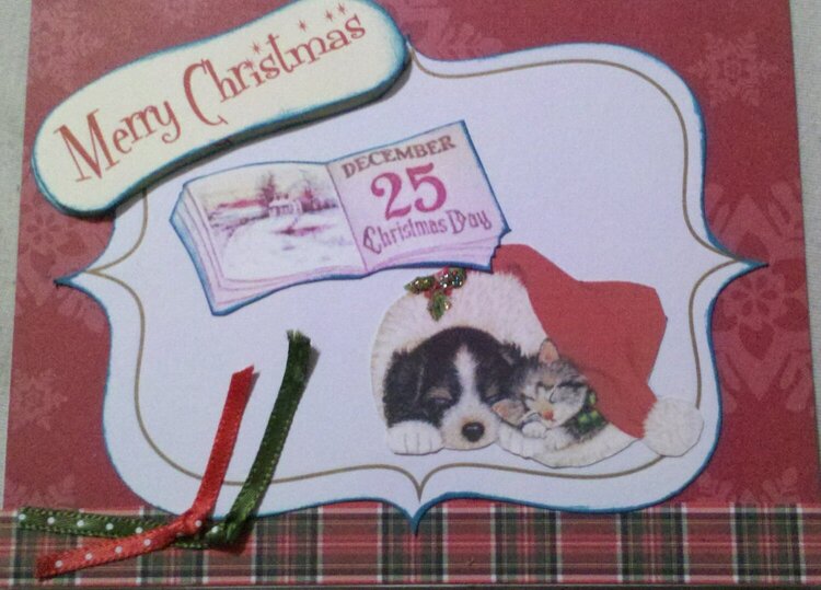 Christmas card - cat and dog