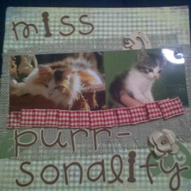 Miss Purr-sonality