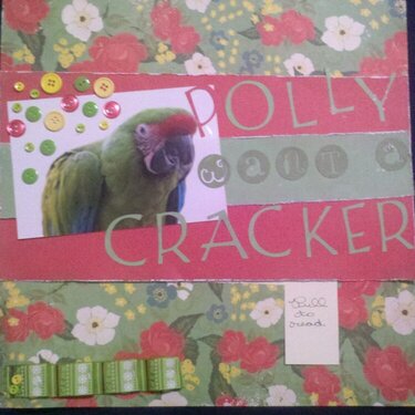 Polly Want A Cracker