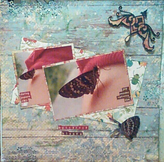 BUTTERFLY KISSES
