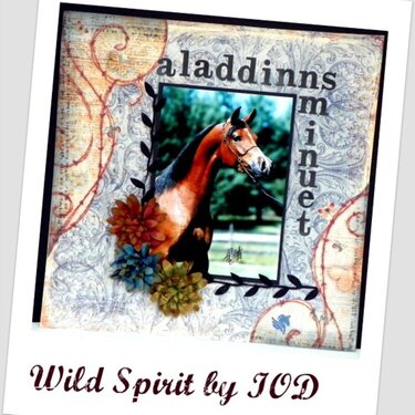 Wild Spirit by IOD