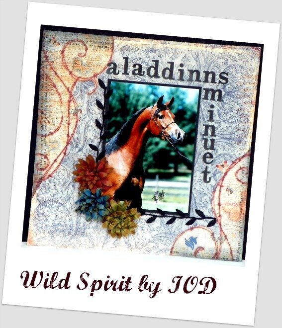 Wild Spirit by IOD