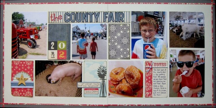 the county fair