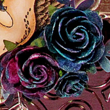 Elegant Black Swan-flower detail