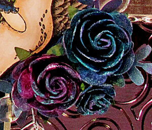 Elegant Black Swan-flower detail