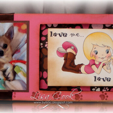 Altered Frame-Chihuahua &amp; Friend