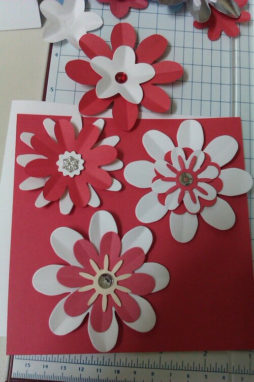 Red and white flowers