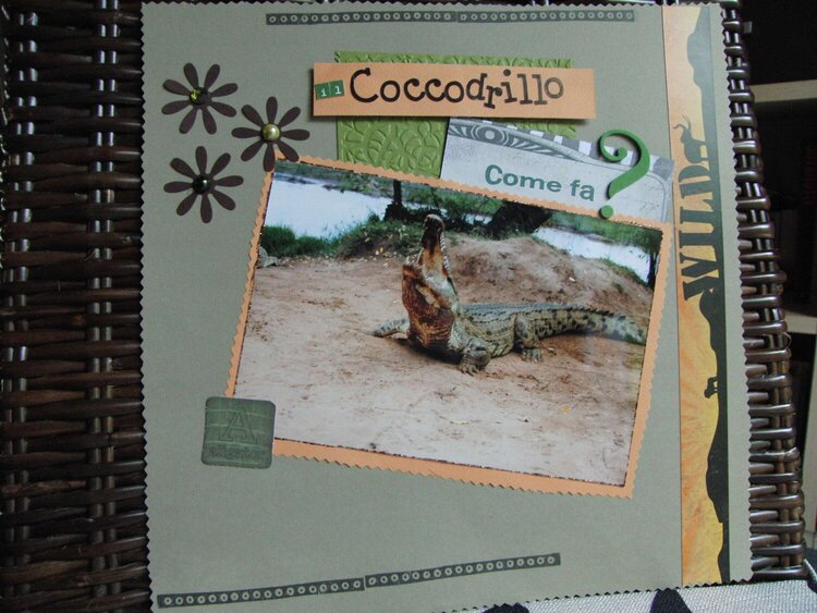 Kenya album: crocodile