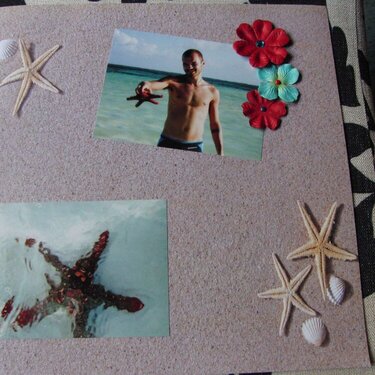 Kenya album: starfish