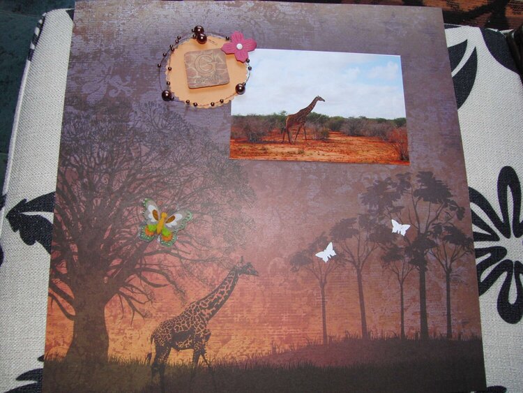 Kenya album: giraffe