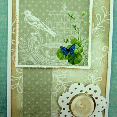 Any Occasion Floral and Bird Card