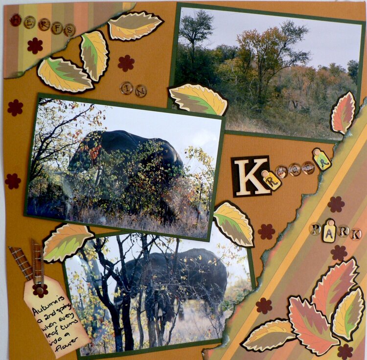Autumn in the Kruger Park