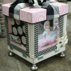Baby Girl Photo Box