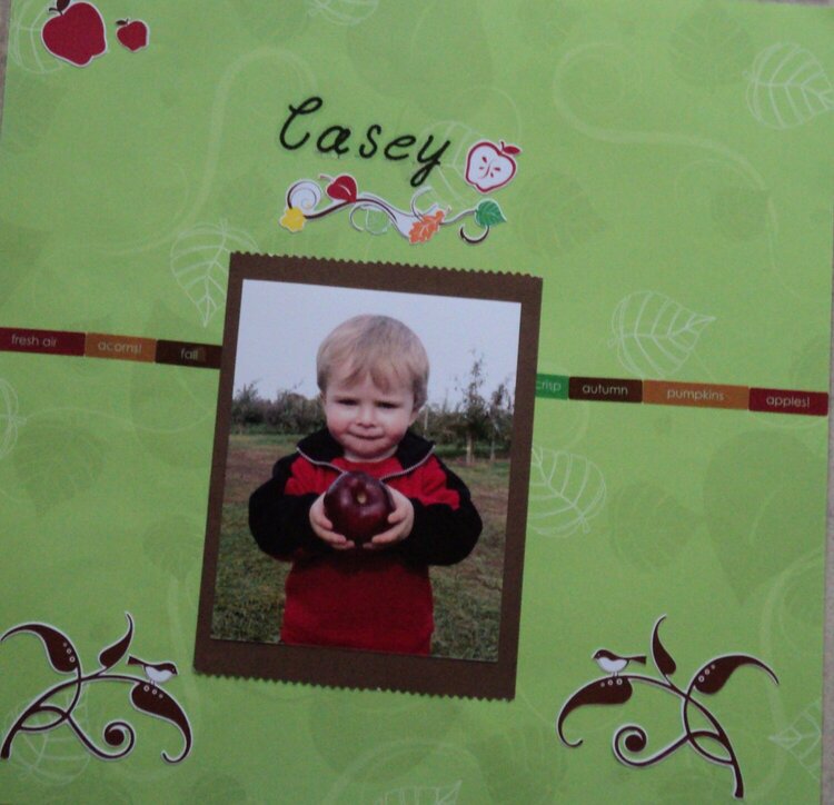 Casey 18months