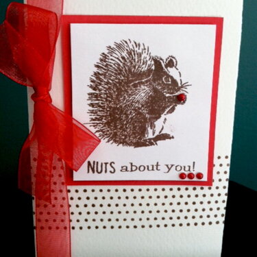 NUTS About You!