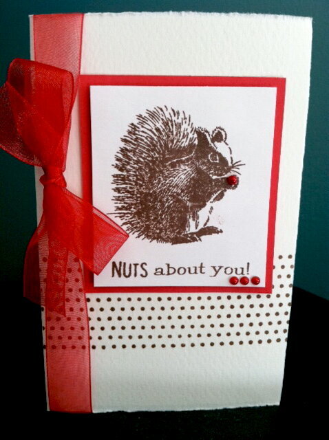 NUTS About You!