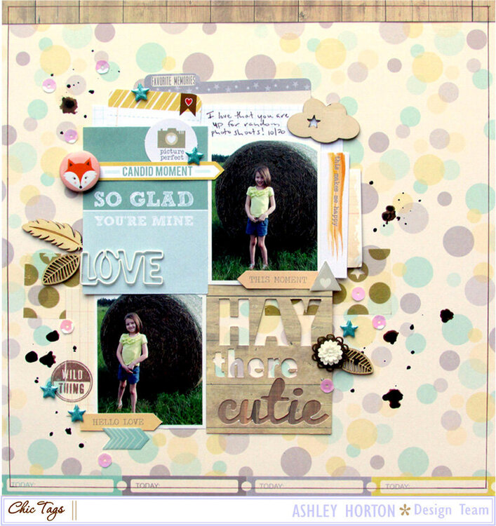 Hay There Cutie ***Chic Tags***