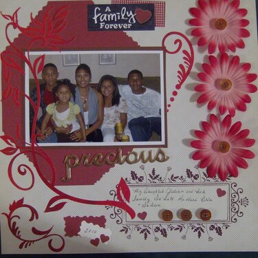 Family 2011
