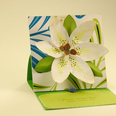 3D Asiatic Lily Easel Card