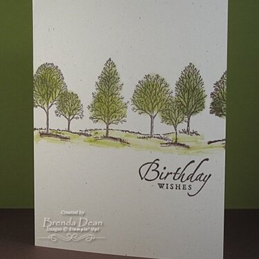 A Quick &amp; Simple Masculine Birthday Card