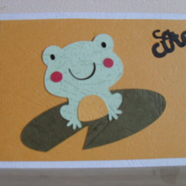 Frog - So Cute