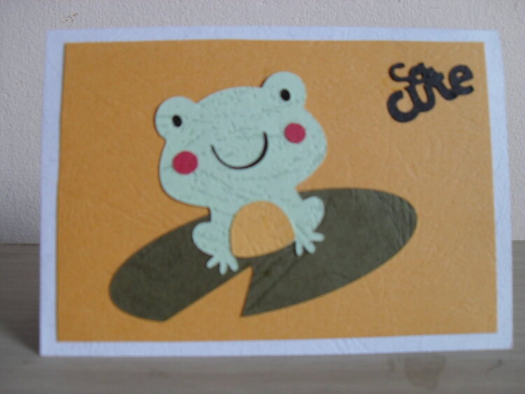 Frog - So Cute