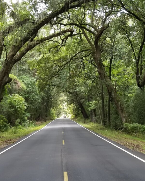 A stunning drive!