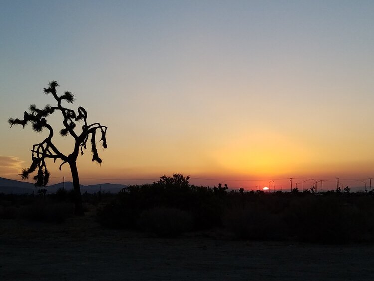 Sunset in the high desert of Southern California!
