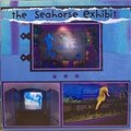 The Seahorse Exhibit
