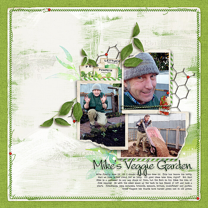 Mike&#039;s Veggie Garden