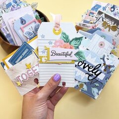 MemoryDex Fun: Box and Cards