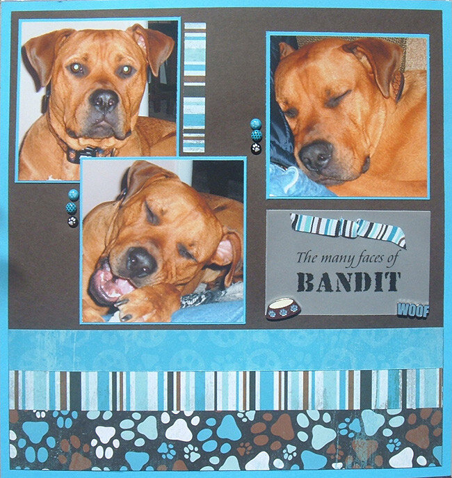 The many faces of Bandit