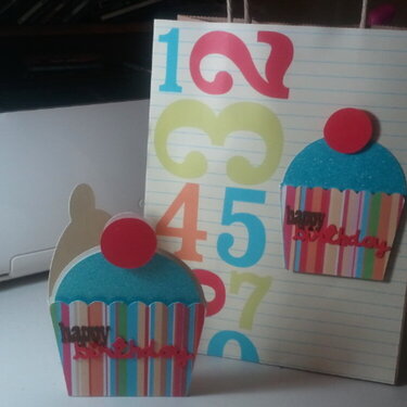 Birthday Card and Bag 2012 (3)