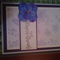 Purple Sympathy Card