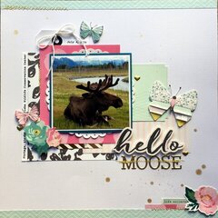 Hello Moose